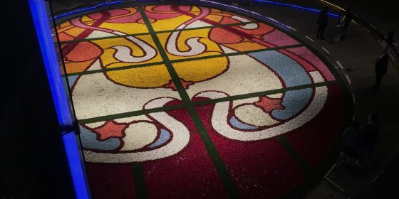 Flower Carpet